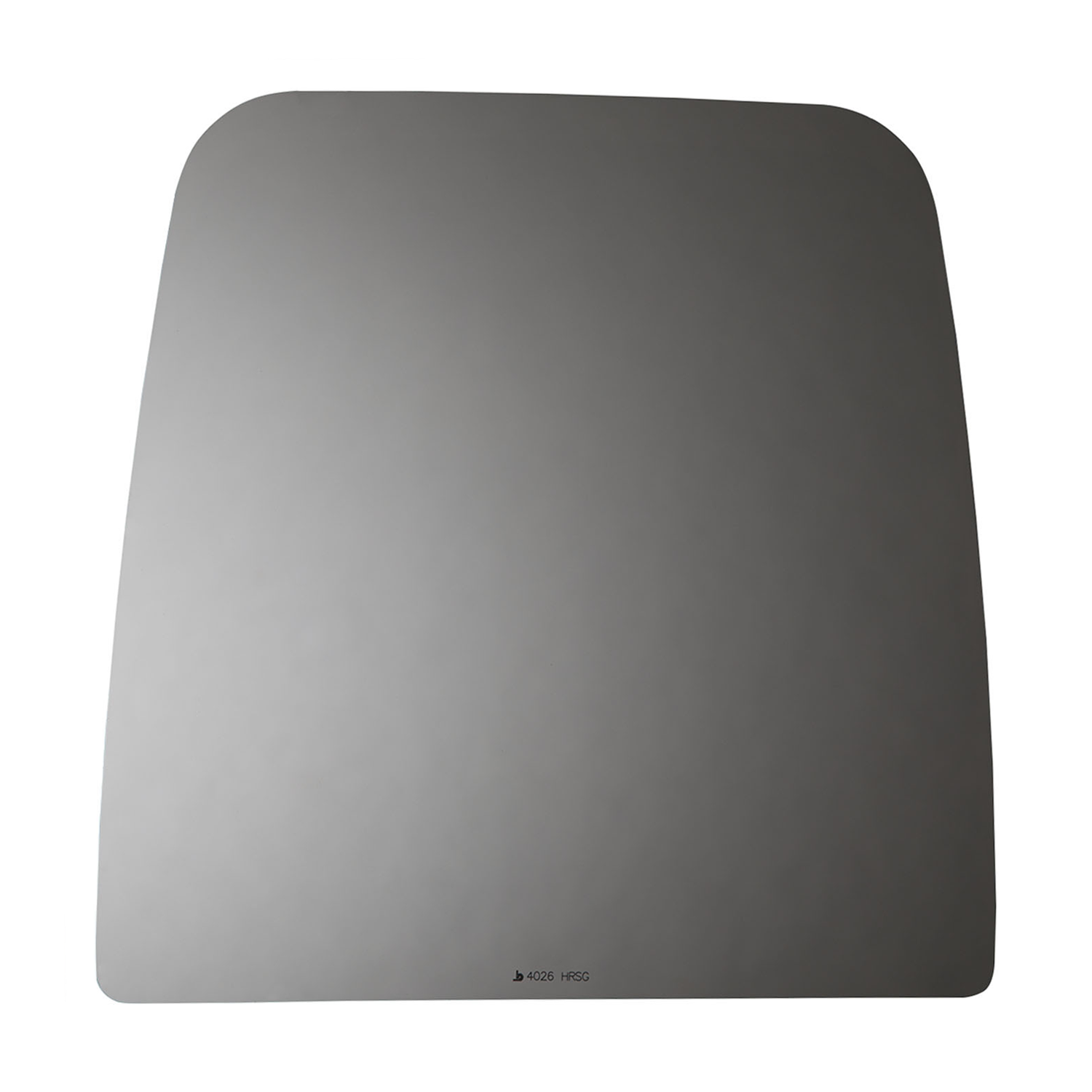 SIDE VIEW MIRROR HEATED W MOUNT